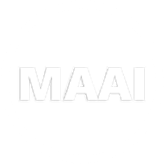 Master in Applied Artificial Intelligence
